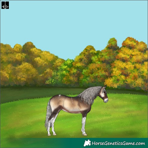 Horse Color:Silver Brown Onyx Tobiano