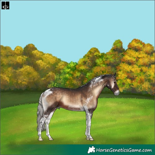 Horse Color:Silver Brown Onyx Tobiano
