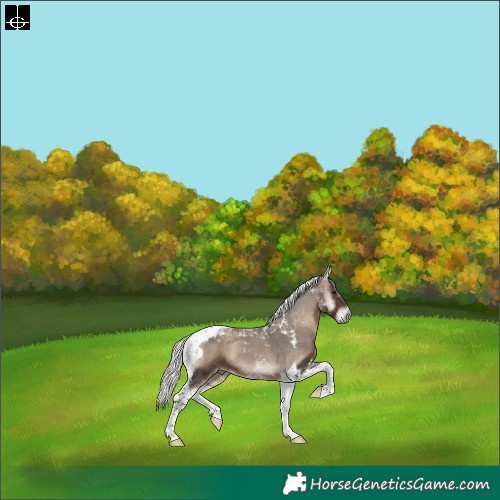 Horse Color:Silver Blue Onyx Tobiano 