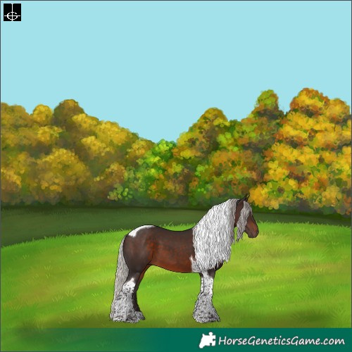 Horse Color:Silver Brown Tobiano
