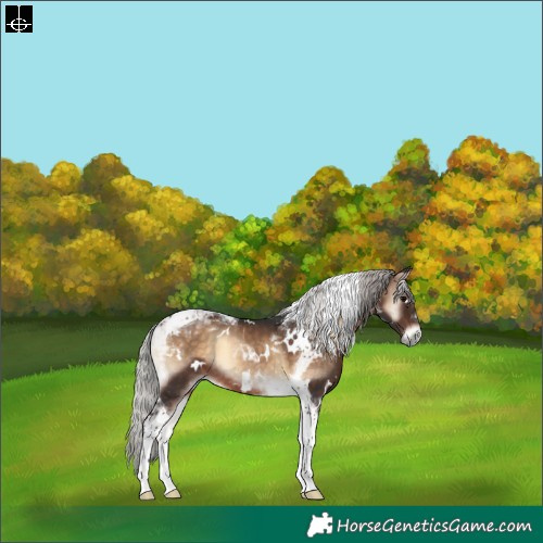 Horse Color:White Spotted Silver Brown Onyx Tobiano 