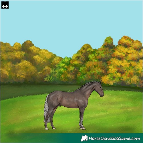 Horse Color:Silver Black Tobiano