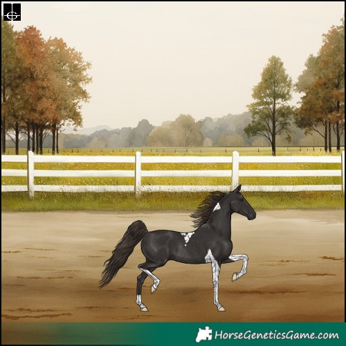 Horse Color:Liver Chestnut Tobiano Rabicano