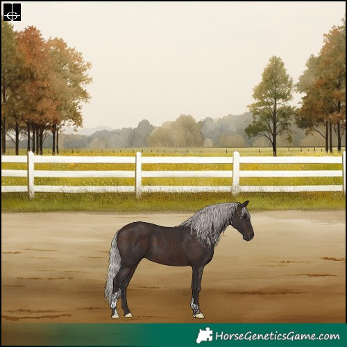 Horse Color:Silver Brown Tobiano Rabicano