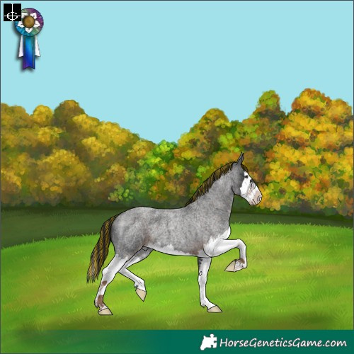 Horse Color:Painted Liver Red Roan Splash 