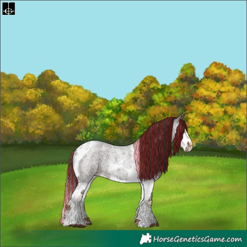 Horse Color:Painted Liver Red Roan Splash Tobiano