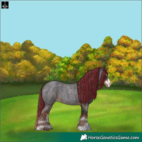 Horse Color:Painted Liver Red Roan Splash