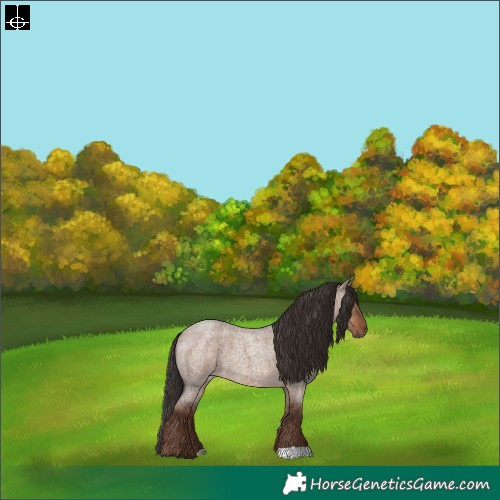 Horse Color:Liver Red Dun Roan