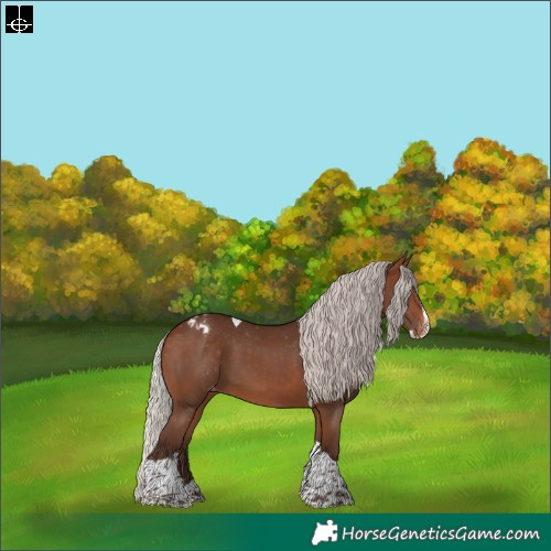 Horse Color:Silver Brown Splash Tobiano Varnish Rabicano 