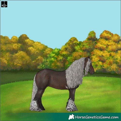 Horse Color:Silver Brown Tobiano Rabicano