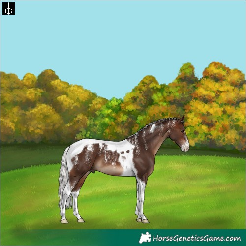 Horse Color:Powder White Silver Brown Tobiano 