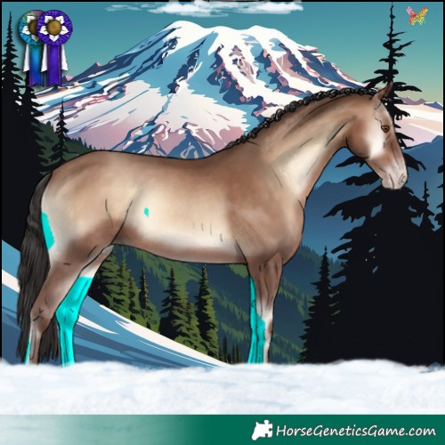 Horse Color:Void Sable Champagne Onyx 