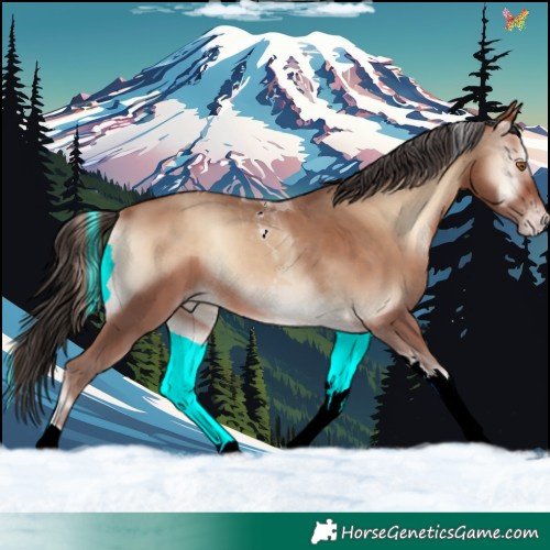 Horse Color:Sable Champagne Onyx Tobiano 