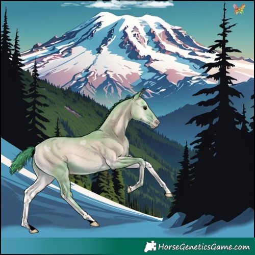 Horse Color:Watercolor Classic Champagne Onyx 
