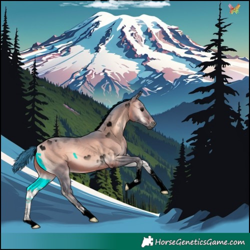 Horse Color:Void Watercolor Sable Champagne Onyx Tobiano
