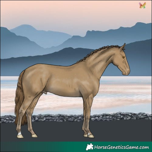 Horse Color:Classic Cream Champagne Varnish 