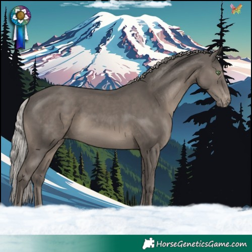 Horse Color:Silver Black Mushroom Appaloosa