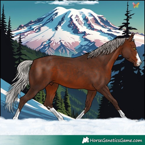 Horse Color:Silver Brown