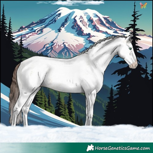 Horse Color:White Spotted Sable Champagne Dun Appaloosa 