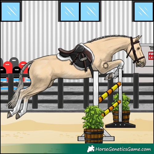 Horse Color:Palomino Tobiano