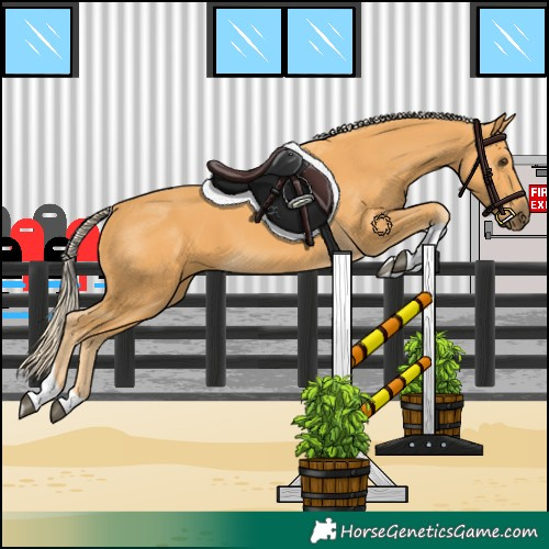 Horse Color:Palomino Tobiano 