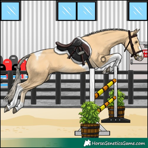 Horse Color:Palomino Tobiano