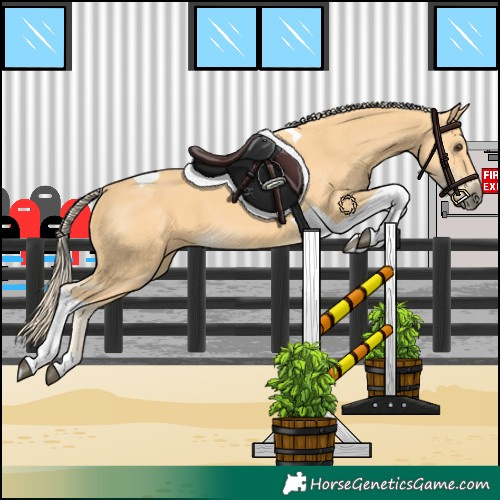 Horse Color:Palomino Tobiano 