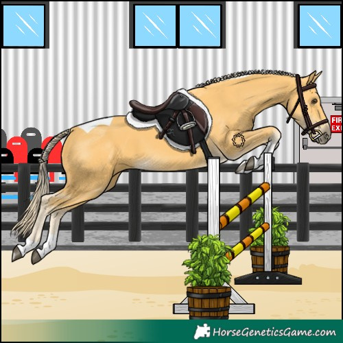 Horse Color:Palomino Tobiano 