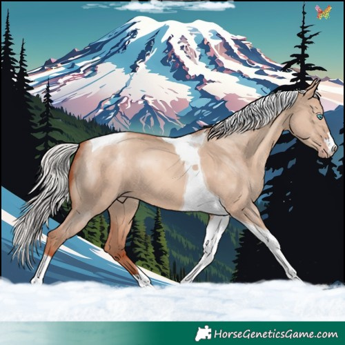 Horse Color:Silver Sable Champagne Dun Tobiano