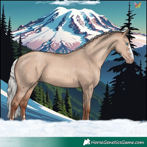 Horse Color:Silver Sable Champagne Dun 