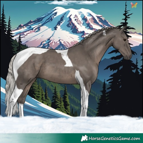 Horse Color:Silver Black Tobiano