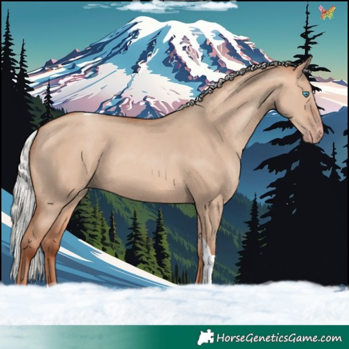 Horse Color:Silver Sable Champagne Dun Tobiano 