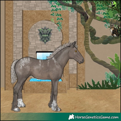 Horse Color:Powder White Silver Black 