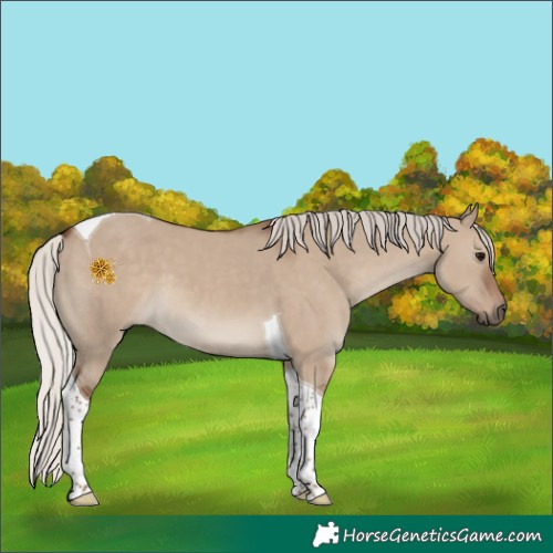 Horse Color:Silver Grullo Tobiano