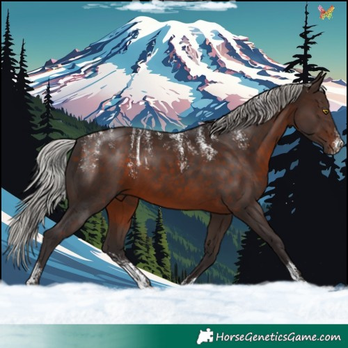 Horse Color:Powder White Silver Brown 