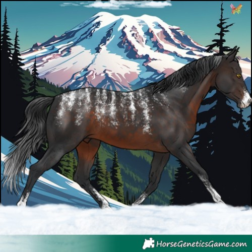 Horse Color:Powder White Brown 