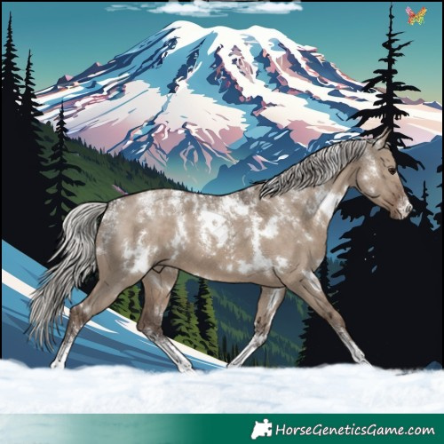 Horse Color:Powder White White Spotted Silver Grullo