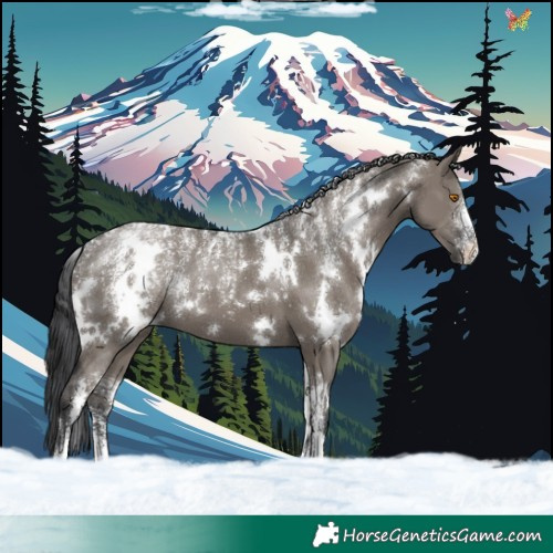 Horse Color:Powder White White Spotted Grullo