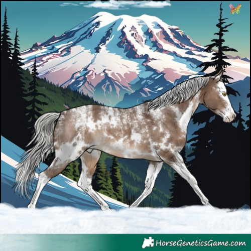 Horse Color:Powder White White Spotted Silver Brown Dun Splash