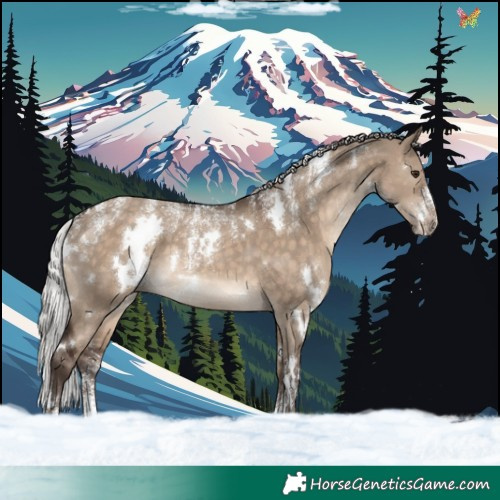 Horse Color:Powder White White Spotted Silver Brown Dun 