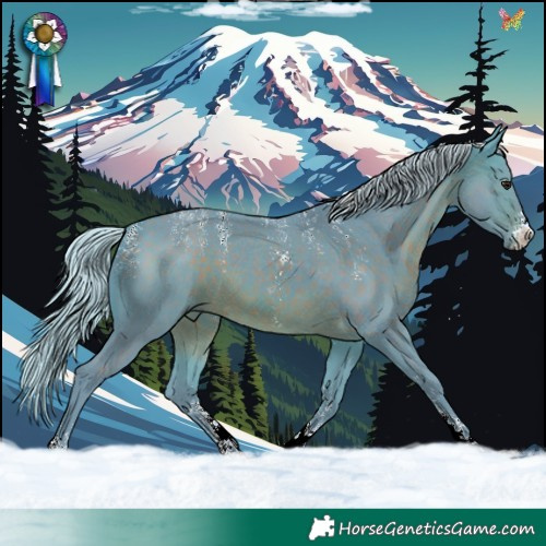Horse Color:Powder White Watercolor Silver Brown Sabino 