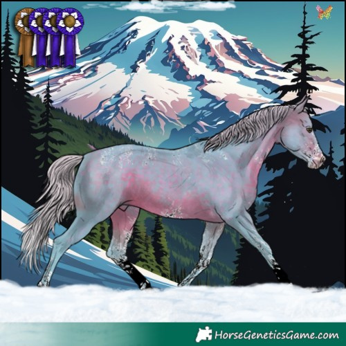 Horse Color:Powder White Watercolor White Spotted Silver Brown 