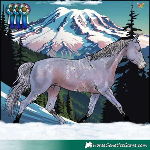 Horse Color:Powder White Watercolor White Spotted Silver Black 