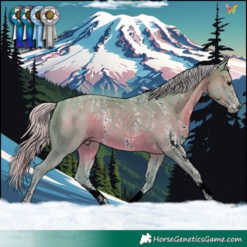 Horse Color:Powder White Watercolor Silver Black Sabino