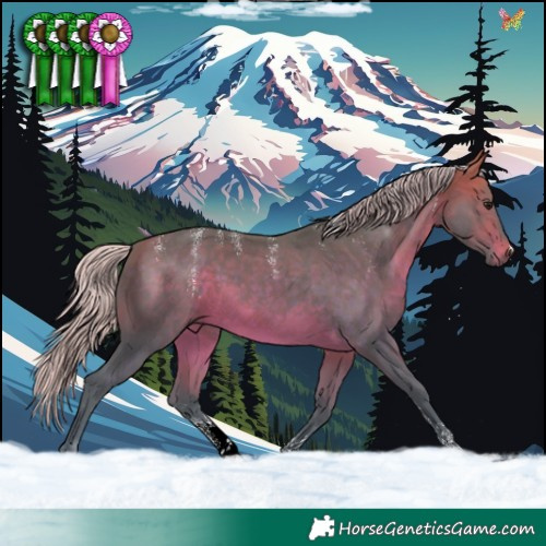 Horse Color:Powder White Watercolor Silver Brown Sabino