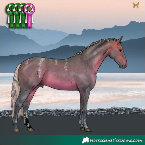 Horse Color:Powder White Watercolor Silver Brown Sabino