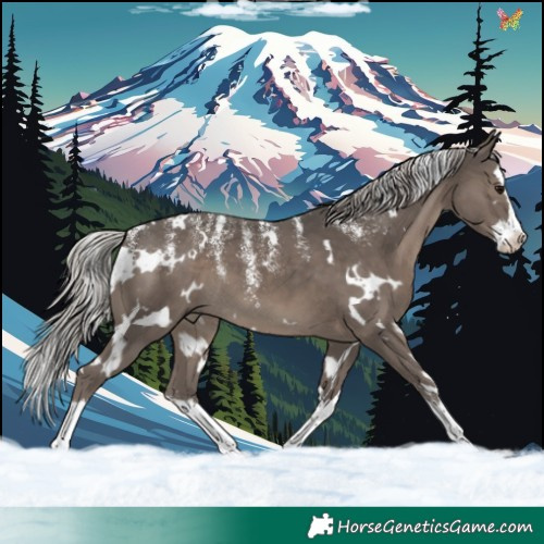Horse Color:Powder White White Spotted Silver Black Splash