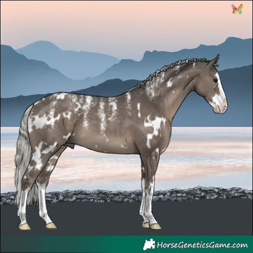 Horse Color:Powder White White Spotted Silver Black Splash