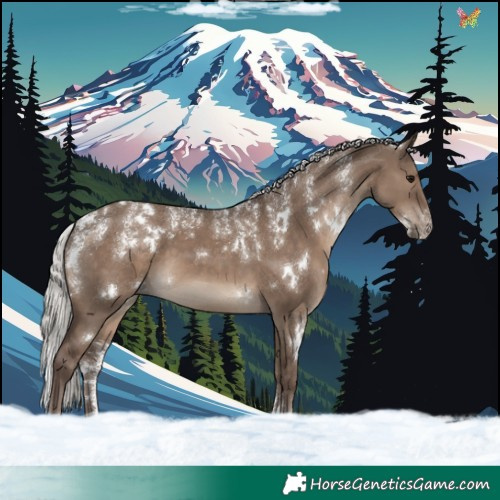 Horse Color:Powder White White Spotted Silver Grullo 