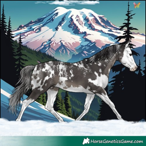 Horse Color:Powder White White Spotted Smoky Black Splash 